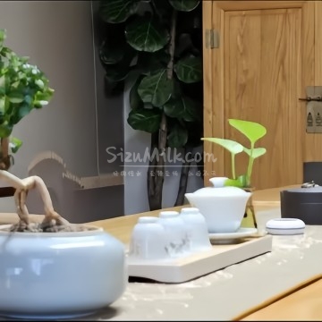 半舍.空中花园茶空间