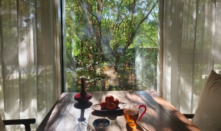 北京品茶的一段心安之旅——走进三趣堂琴茶空间