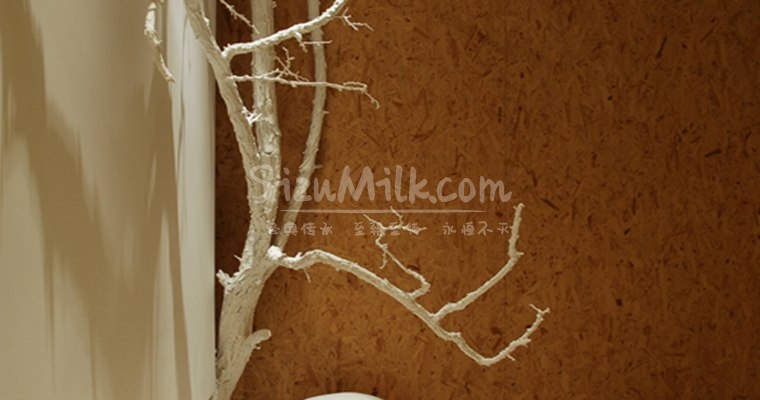 北京SPA按摩的另一面：都市节奏下的慢生活哲学插图1SizuMilk