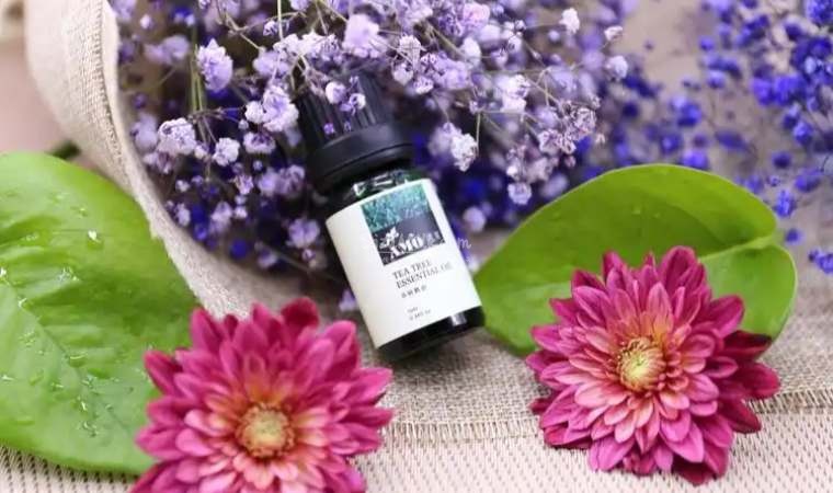 北京男士养生冬季指南:藏在寒风背后的身体修复之道插图2SizuMilk 北京男士养生冬季指南:藏在寒风背后的身体修复之道插图2SizuMilk