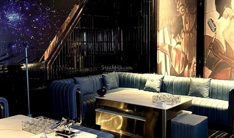 揭秘北京商务KTV:高档次娱乐与公主服务的精彩玩法插图SizuMilk 揭秘北京商务KTV:高档次娱乐与公主服务的精彩玩法插图SizuMilk