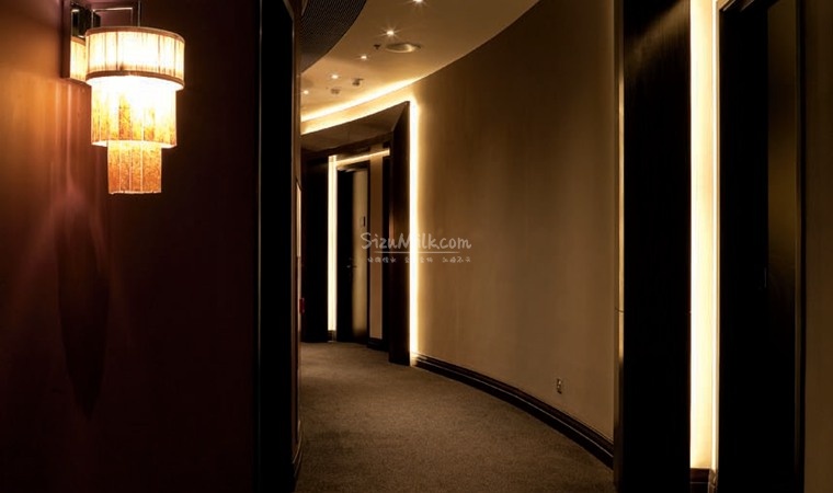 北京男士个人养生方式变化观察：从“拼体力”到“拼状态”的转向插图SizuMilk