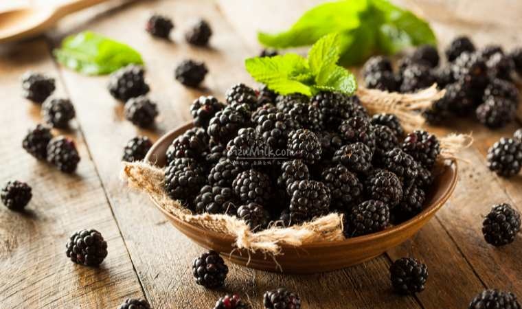 北京都市体验网:春季要多吃的水果,打开新的养生新方式插图3SizuMilk 北京都市体验网:春季要多吃的水果,打开新的养生新方式插图3SizuMilk