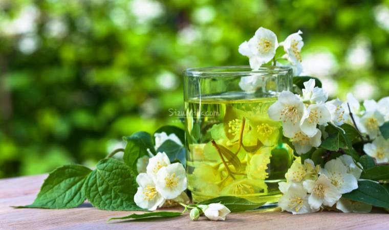 北京品茶网推荐｜春季养生茶饮指南插图3SizuMilk