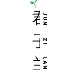 君子兰