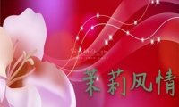 茉莉风情