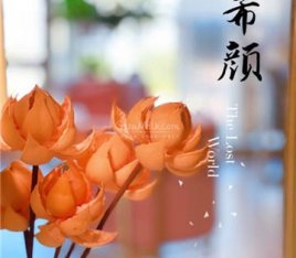 希颜中式瘦身经络减肥塑形抗衰管理(东直门店)