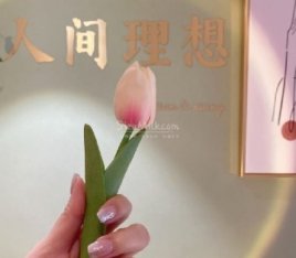 人间理想美甲美睫