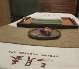 三月春养生美颜spa