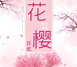 花樱日式减压
