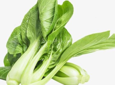 北京思足点评网建议女性朋友多吃这些抗衰的食物
