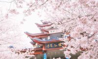北京养生俱乐部，追求健康与平衡的养生天地