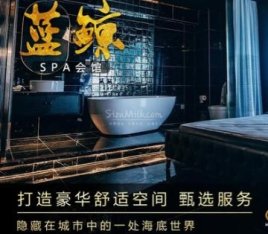 蓝鲸高端SPA