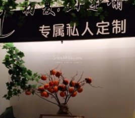 初夏.禅心瑜伽(祥云小镇店)