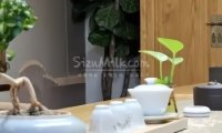 半舍.空中花园茶空间