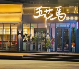 五花马精酿酒馆STEED TAPROOM